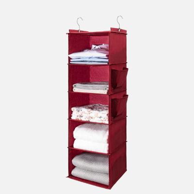 BOOMIBOO Hanging Closet Organize and Shelves